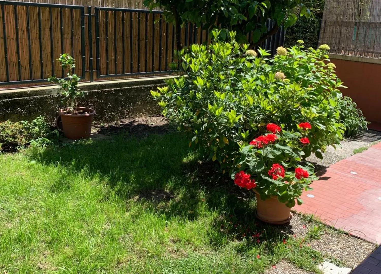 Il Giardino Dei Limoni Apartment Chiavari Italy